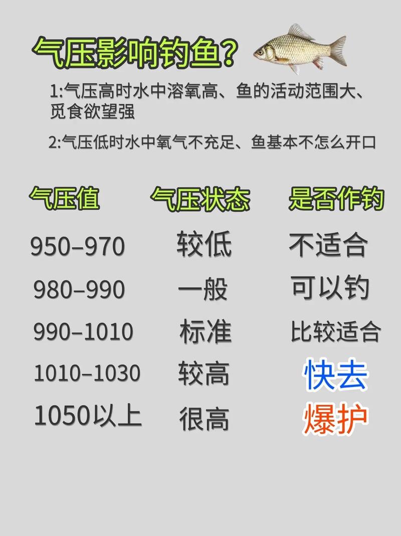 釣魚時間口訣及最佳上魚時間_釣魚時間段_釣魚時間