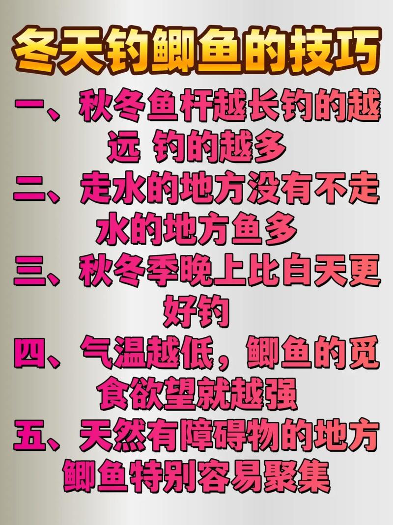 冬季釣鯽魚技巧視頻_鯽魚冬季作釣方法_冬釣鯽魚技巧