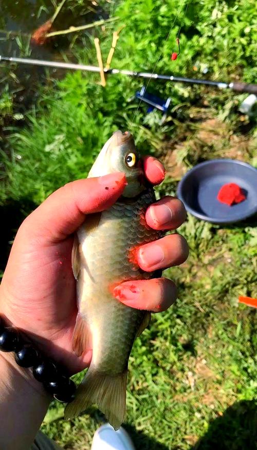 拉絲粉目數詳解_拉絲粉目數的區別_不同目數拉絲粉使用技巧