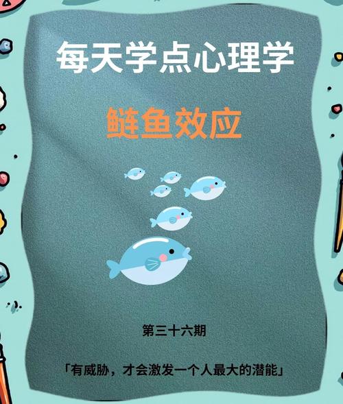 管理學名詞解釋_馬太效應鯰魚效應_管理學中什么是鰱魚效應?