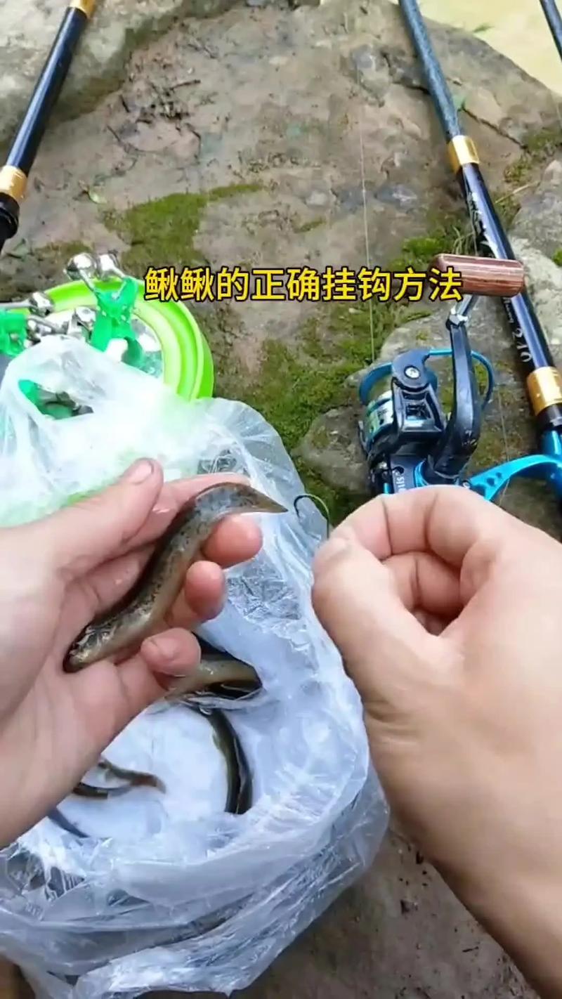 釣魚技巧調漂方法視頻_泥鰍釣法技巧_釣泥鰍調漂方法