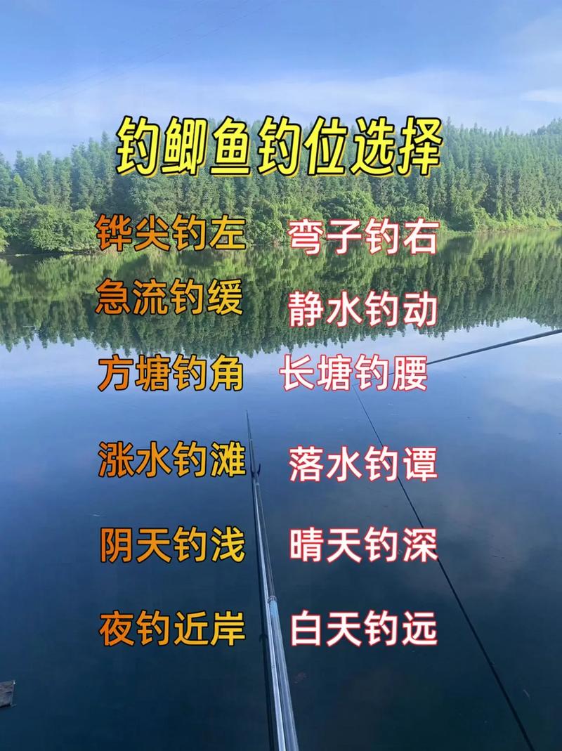 野釣鯽魚最佳釣位_水草區深淺交界釣位選擇_野外垂釣鯽魚
