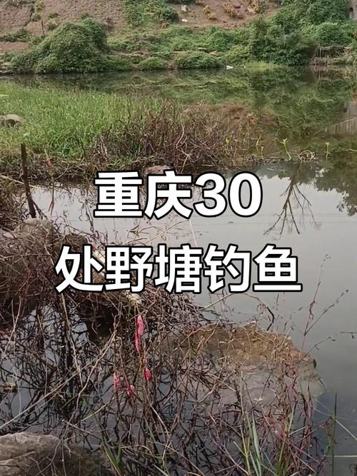 重慶東方紅水庫釣魚攻略_重慶釣場_重慶釣場大全_重慶哪里能釣魚_重慶南湖水庫釣魚地點