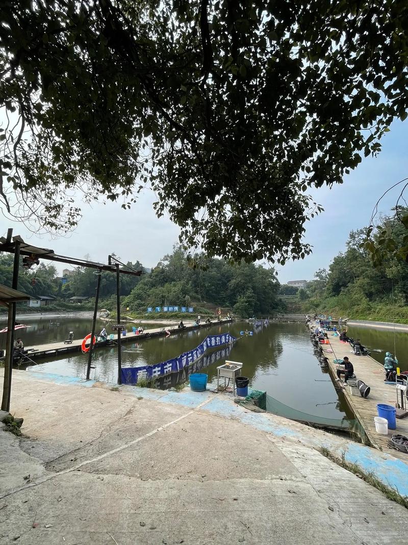 重慶南湖水庫釣魚地點_重慶釣場_重慶釣場大全_重慶哪里能釣魚_重慶東方紅水庫釣魚攻略