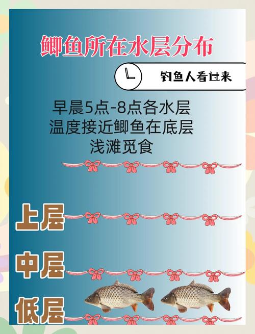 天元鯽餌料搭配原則_天元鯽經典配方推薦_天元的底釣大鯽一木煌怎么配比?要不要加拉絲?