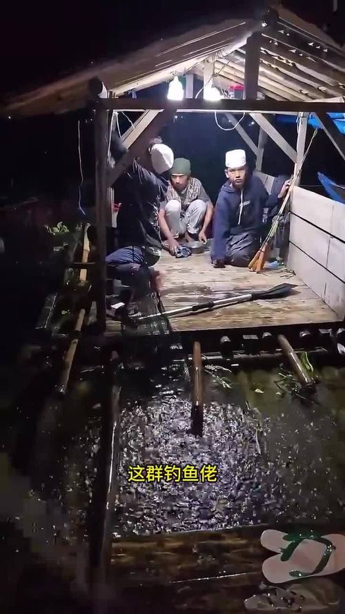 釣魚發燒友魚_釣魚發燒友特點_釣魚愛好者類型