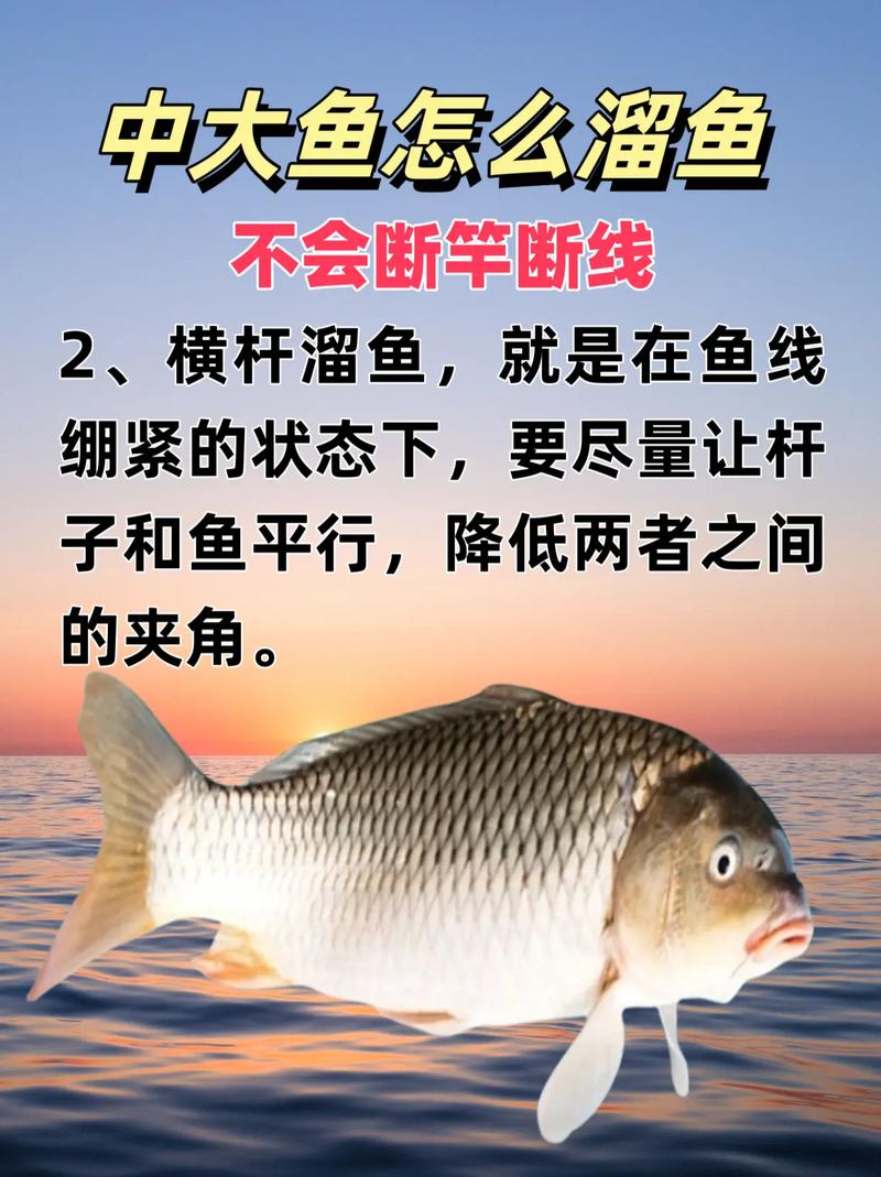 雨天釣魚_夏天雨后釣魚技巧_漲水釣魚技巧