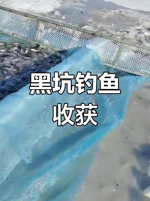 黑坑放魚不實問題_黑坑釣魚現狀_黑坑暴雨過后好釣魚嗎