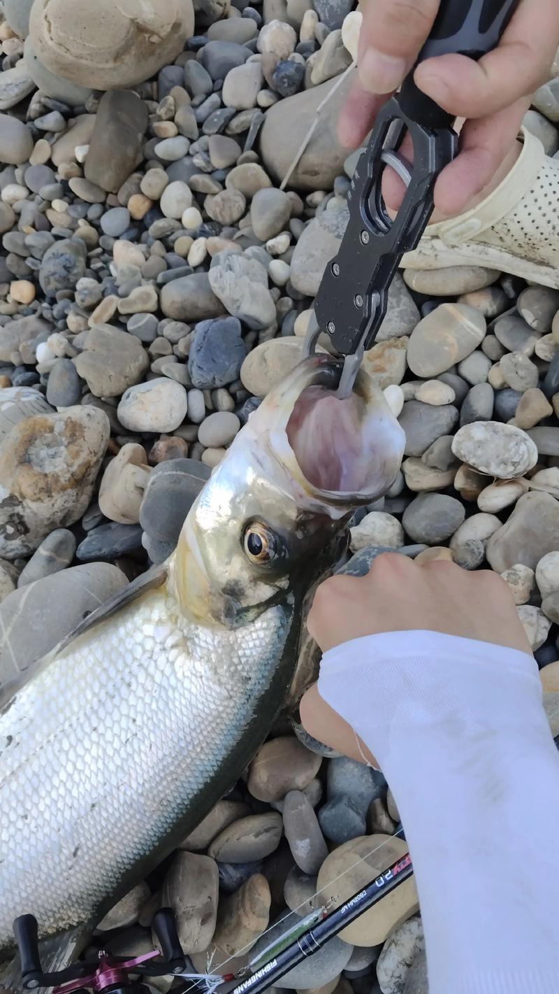 路亞裝備選購攻略_廣州路亞_廣州路亞大全_廣州哪里有路亞能釣魚_路亞釣法技巧分享