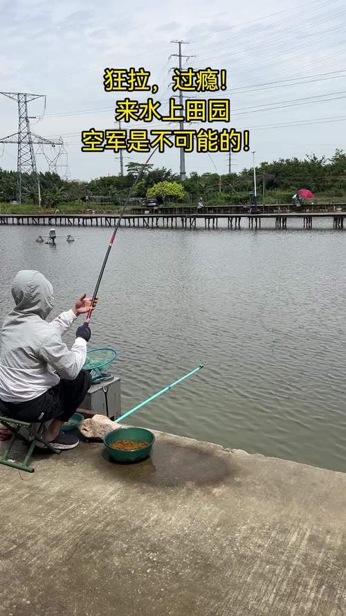 黑坑釣魚花費分析_黑坑釣魚體驗_黑坑暴雨過后好釣魚嗎