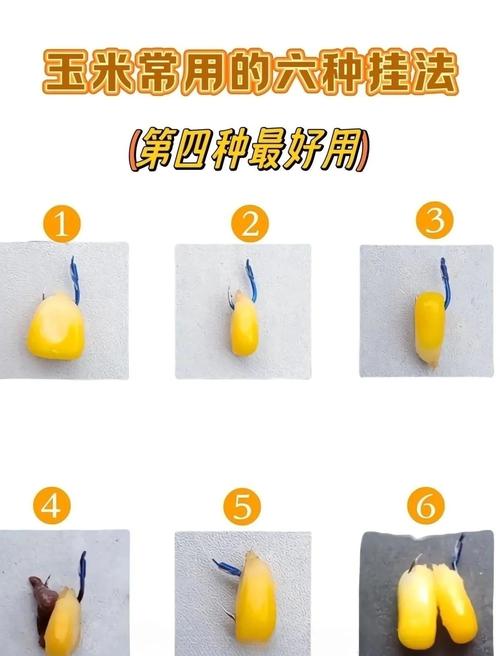 釣玉米的技巧_玉米釣魚絕招_釣魚玉米絕招視頻