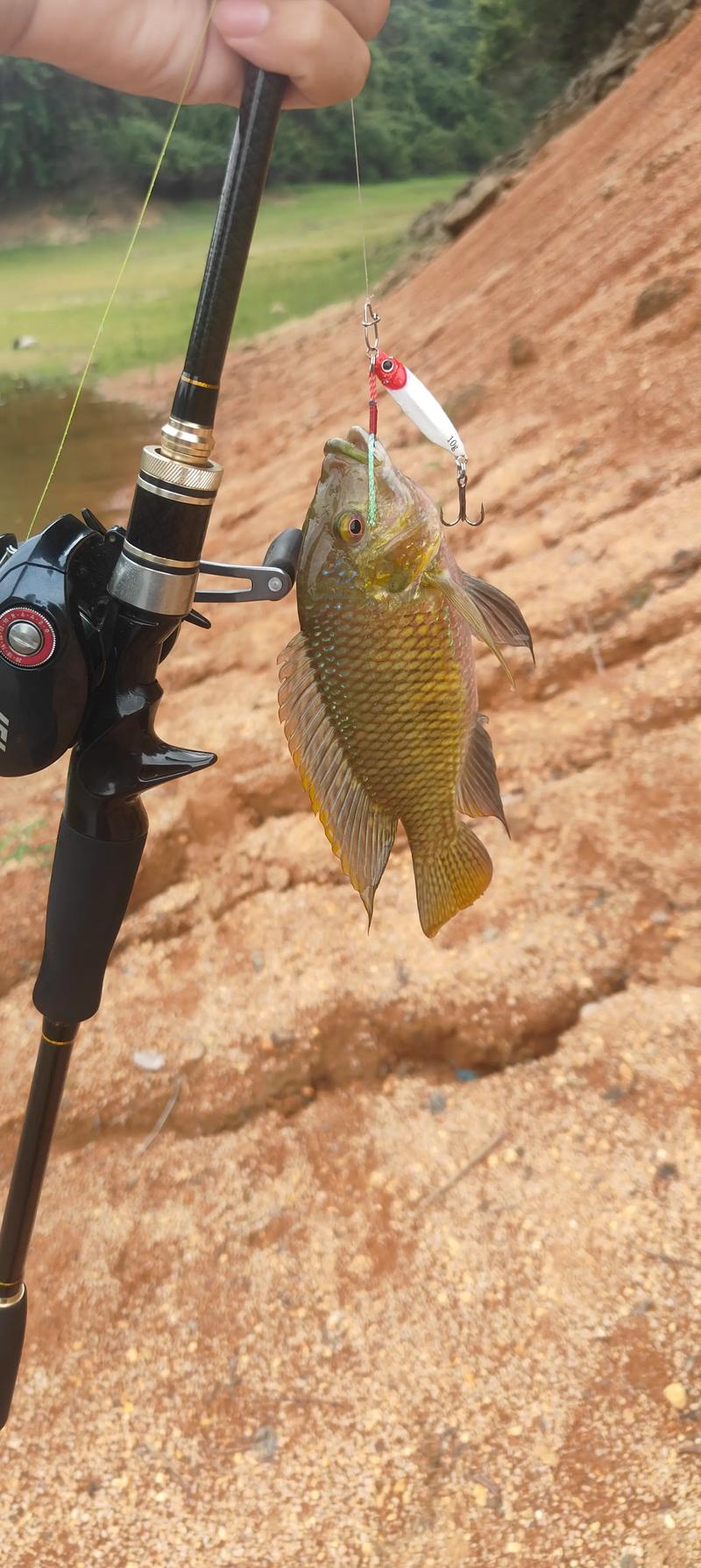 黑坑路亞新手入門_廣州路亞_廣州路亞大全_廣州哪里有路亞能釣魚_黑坑路亞技巧