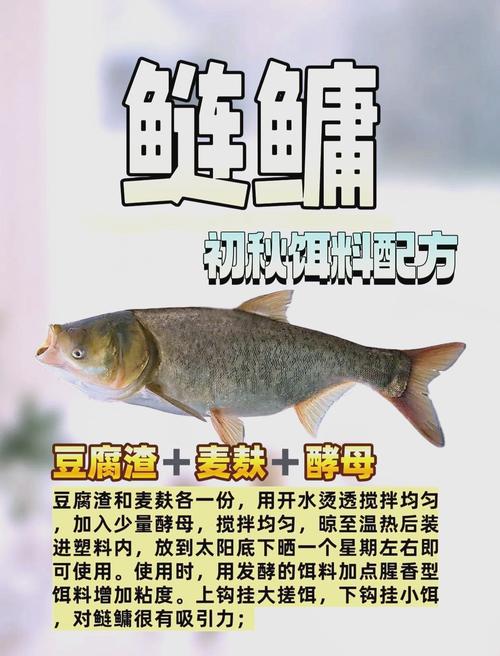 釣魚視頻教程_漁友聯盟在線課邀請卡_重慶自制鰱鳙餌料最牛配方?