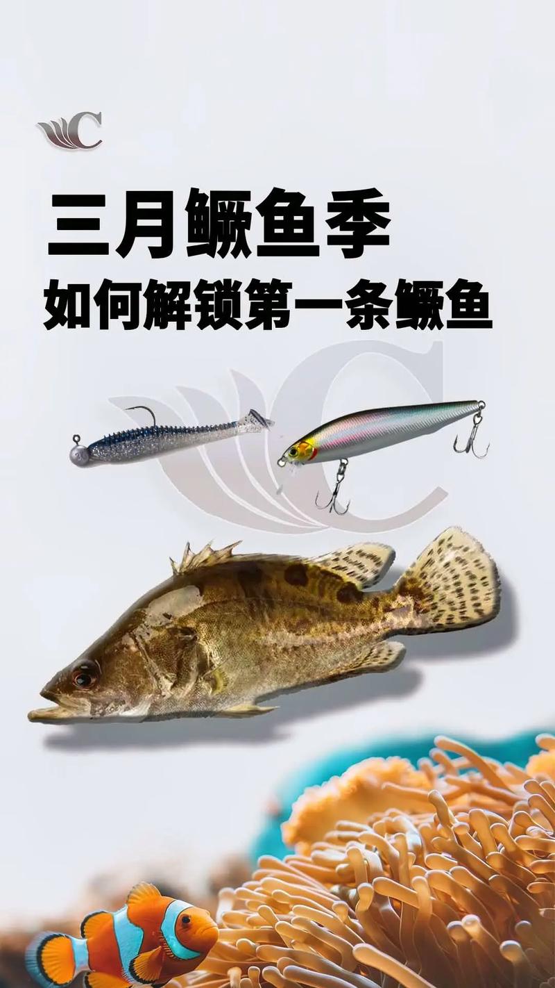 活餌逗釣鱖魚方法_鱖魚_怎么釣鱖魚_野釣鱖魚技巧