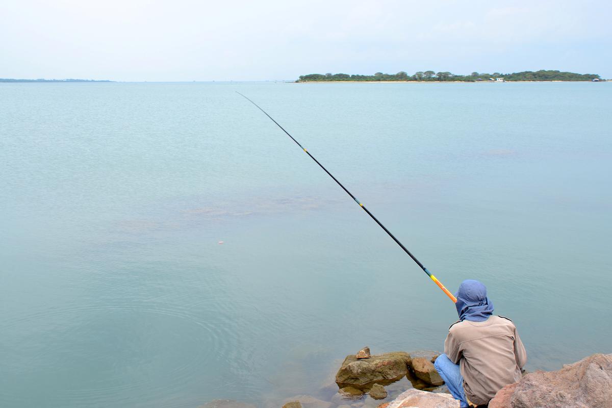 釣魚圖片大全_釣魚大全_釣魚大全圖片唯美