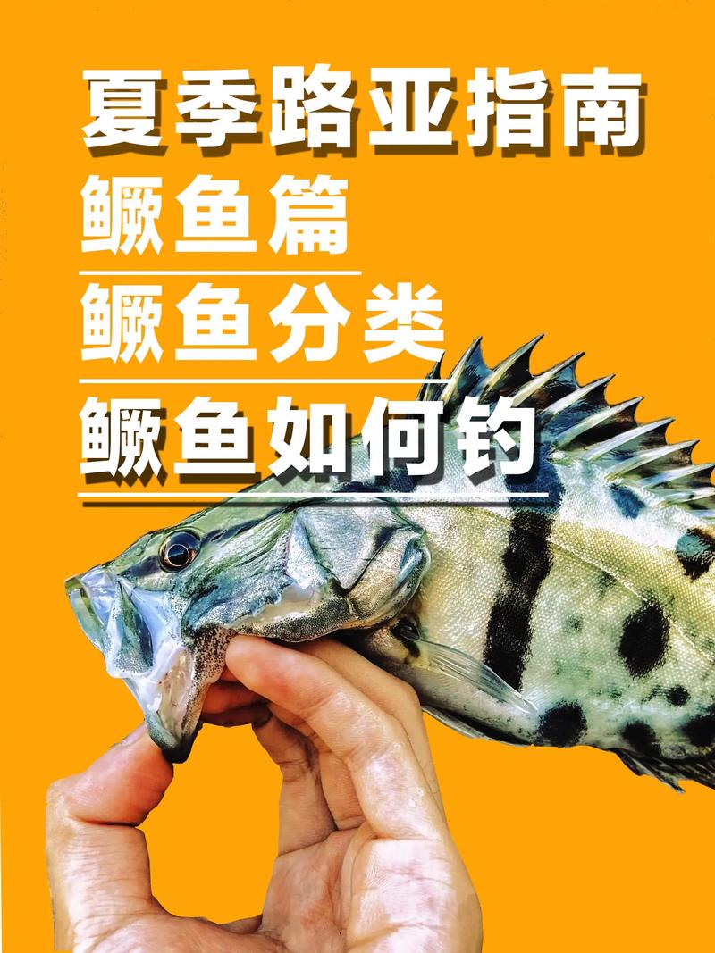 鱖魚_怎么釣鱖魚_秋天釣鱖魚技巧_鱖魚最佳釣位選擇