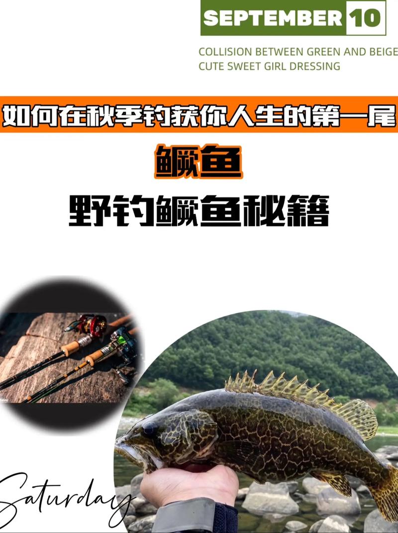 鱖魚最佳釣位選擇_鱖魚_怎么釣鱖魚_秋天釣鱖魚技巧