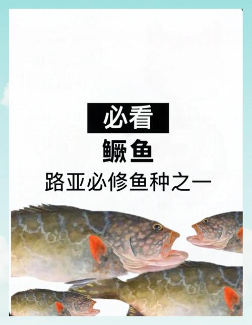 鱖魚棲息地特點_鱖魚生活習性分析_鱖魚的生活習性與特點介紹