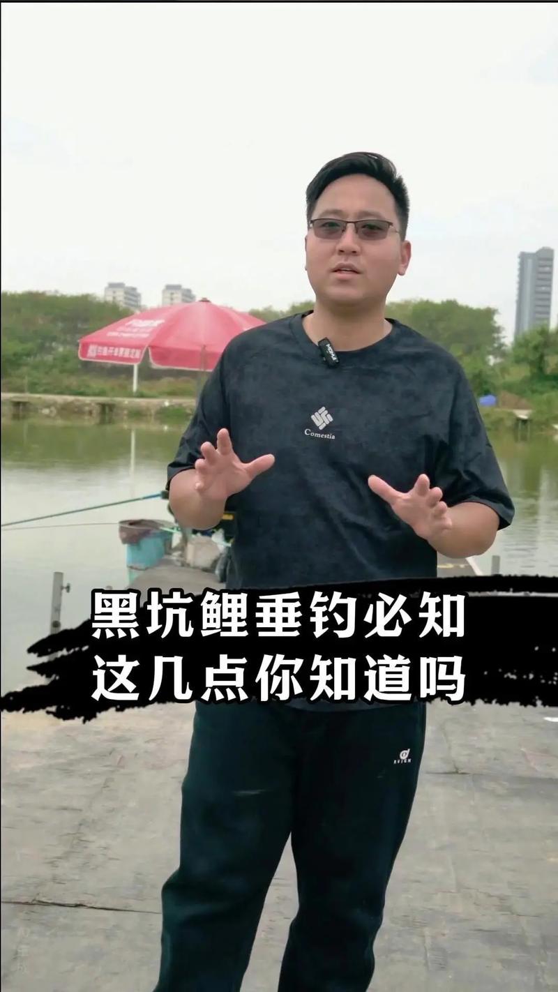 夜釣鯉魚最佳時間_晚上釣黑魚的最佳時間_晴天的晚上夜釣鯉魚技巧