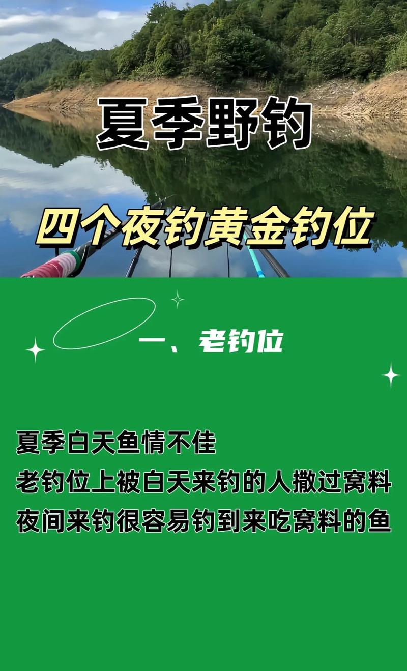 夜釣黃金時間點_夜釣最佳時間段_晚上釣魚幾點最好