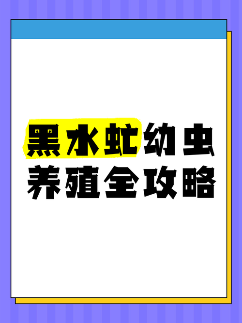 黑水虻幼蟲釣魚效果_養點蒼蠅幼蟲,釣魚,怎么養_黑水虻幼蟲養殖技術