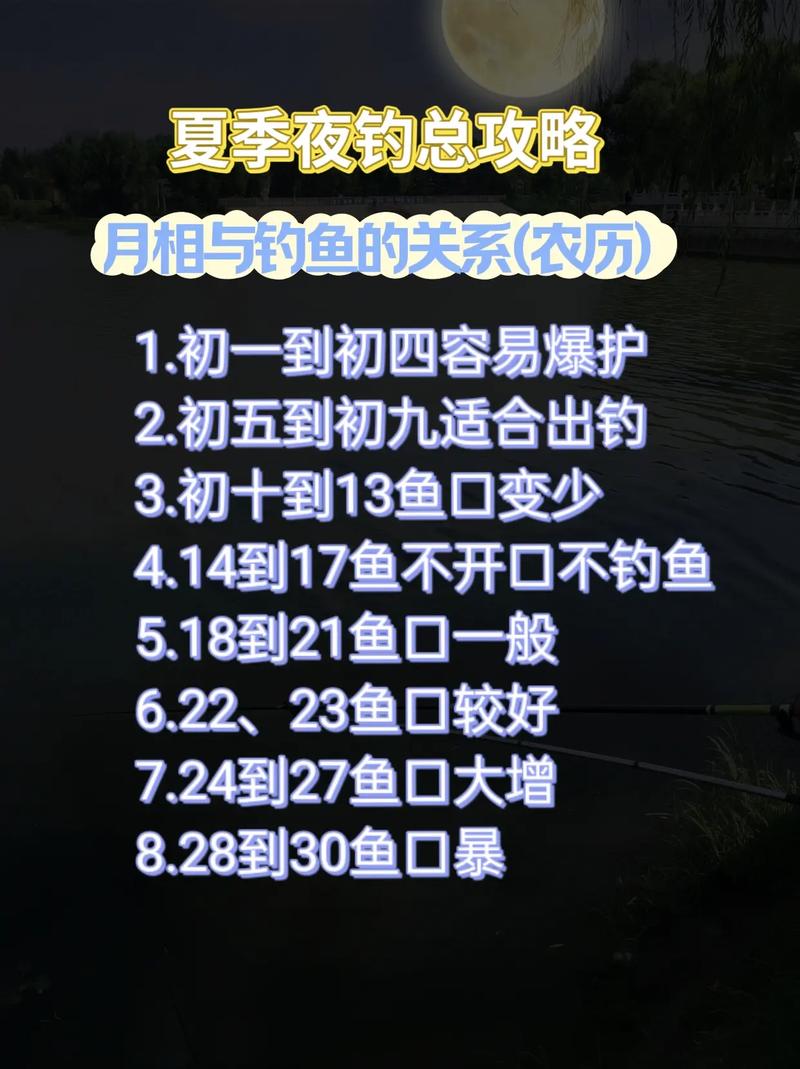 夜釣釣位選擇_夜釣最佳時間段_晚上釣黑魚的最佳時間