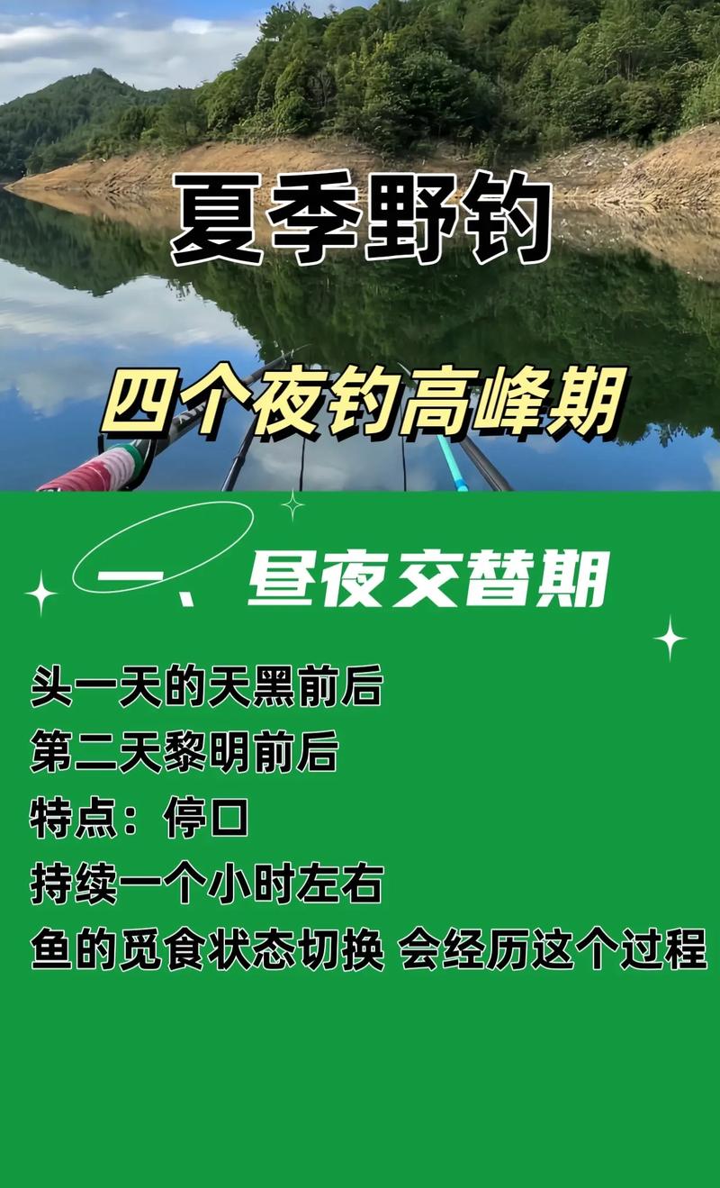 夜釣什么時間段最好_晚上釣魚幾點最好_夜釣黃金時段