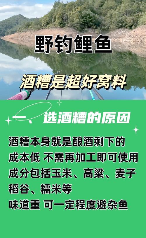 釣魚窩料_隔夜窩料打法_酒糟釣大魚