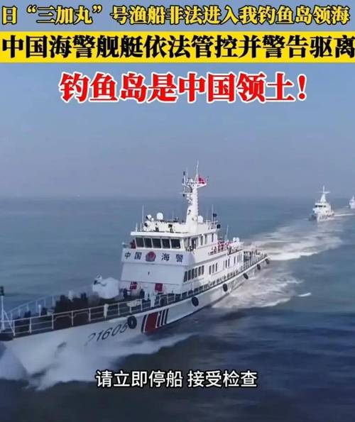 釣魚島上的野山羊_釣魚島上的羊現在怎么樣了_釣魚島上的山羊