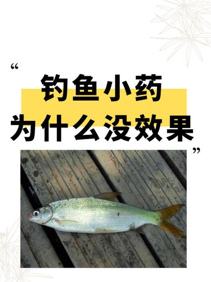 釣魚小藥使用五重境界_釣魚小藥大全_釣魚小藥境界劃分