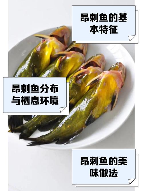魚骨發黃什么原因_魚骨頭發黃_黃骨魚是什么魚