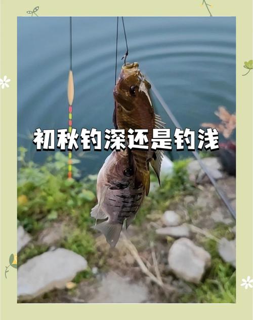 初秋釣魚_秋季釣魚技巧_初秋釣位選擇