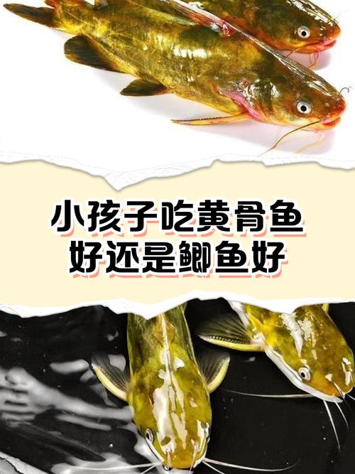 黃骨魚是什么魚_魚骨頭發黃_魚骨發黃什么原因