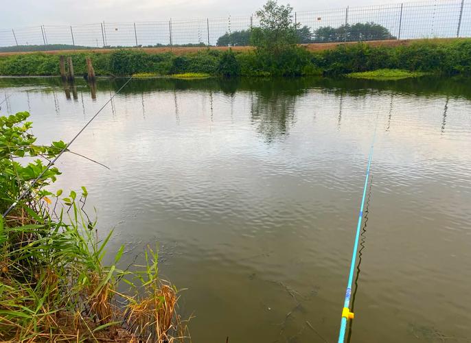 珠海海釣攻略_珠海釣場_珠海釣場大全_珠海哪里能釣魚_桂山島釣點信息