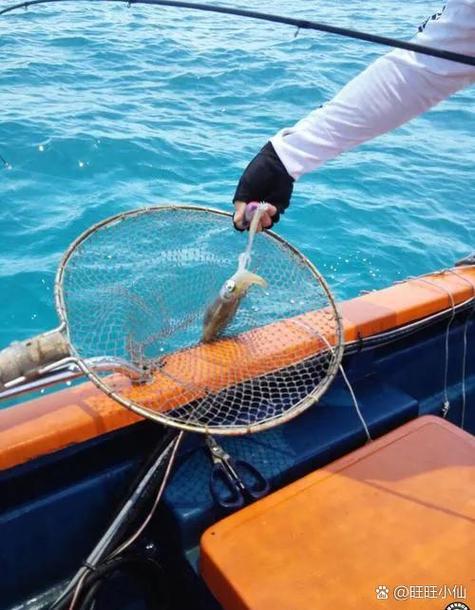 珠海釣場_珠海釣場大全_珠海哪里能釣魚_桂山島釣點信息_珠海海釣攻略