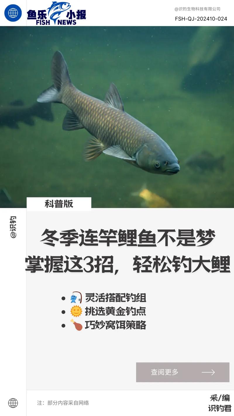 水庫釣鯉魚技巧_水庫釣魚技巧視頻_水庫釣鯉魚最佳水深
