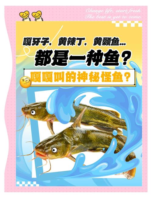 黃劍魚是什么魚_黃劍魚 柔身劍尾魚 深海劍魚