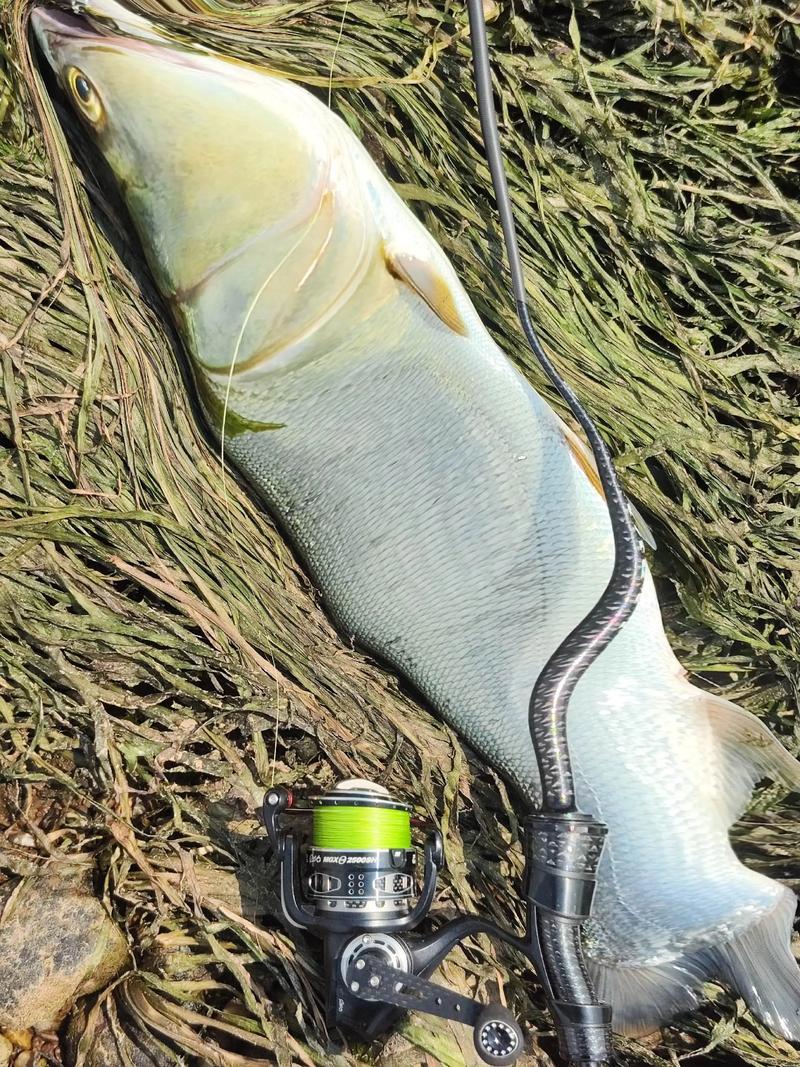 垂釣參數分享_珠海路亞_珠海路亞大全_珠海哪里有路亞能釣魚_珠海北部野釣點