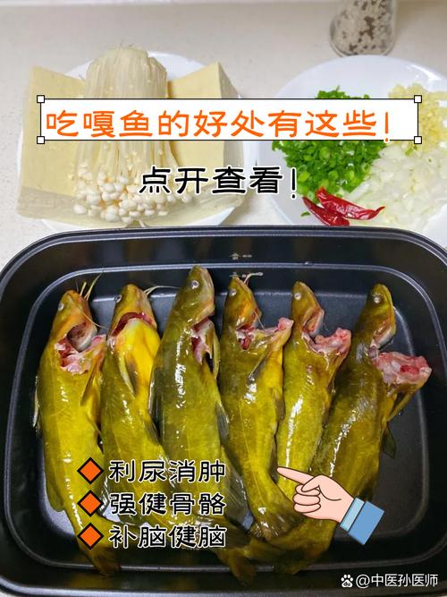 黃顙魚外形特征和分類_黃顙魚是什么魚_黃顙魚別名和生殖習性