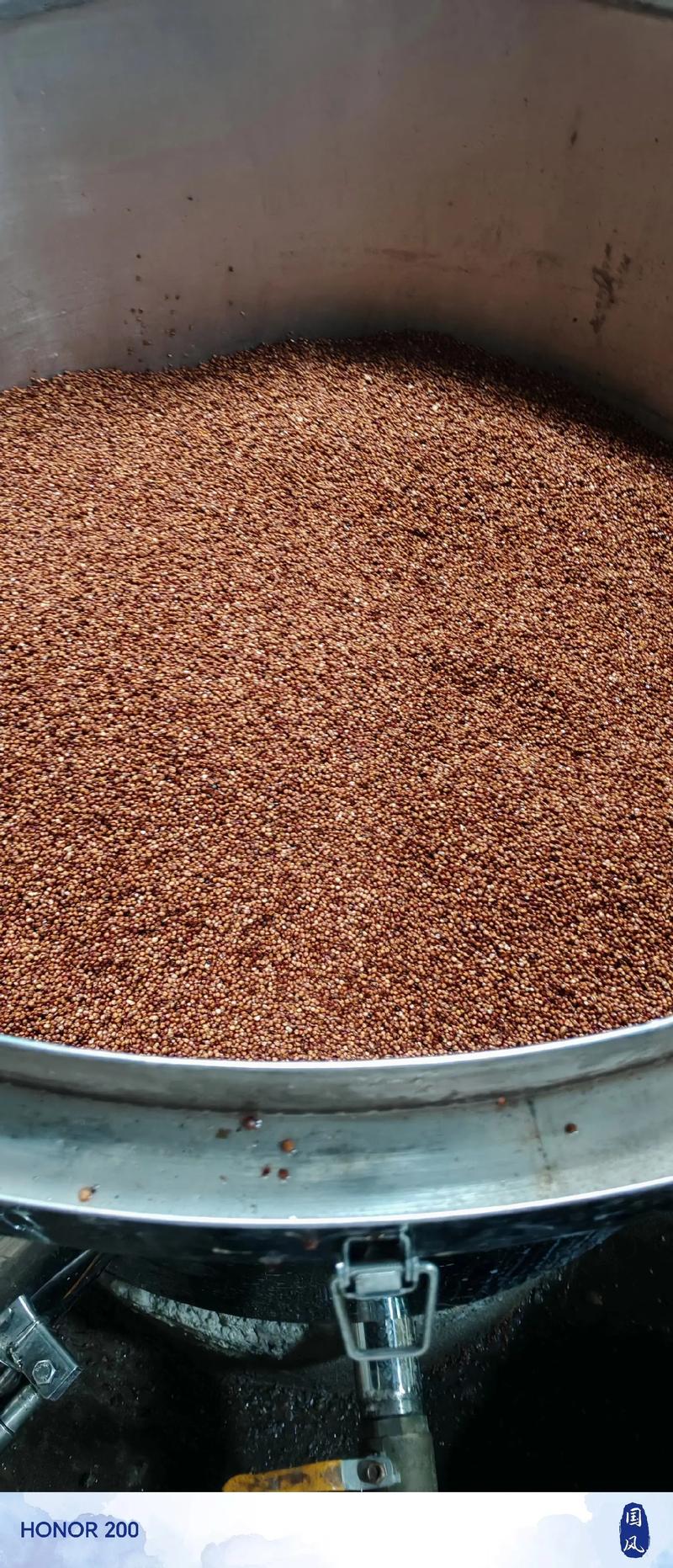 安琪甜酒曲制作步驟_土酒曲制作方法_自制米酒做法