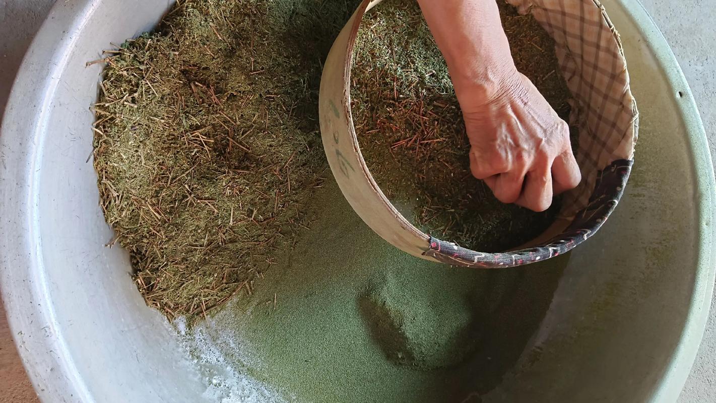 自制米酒做法_土酒曲制作方法_安琪甜酒曲制作步驟