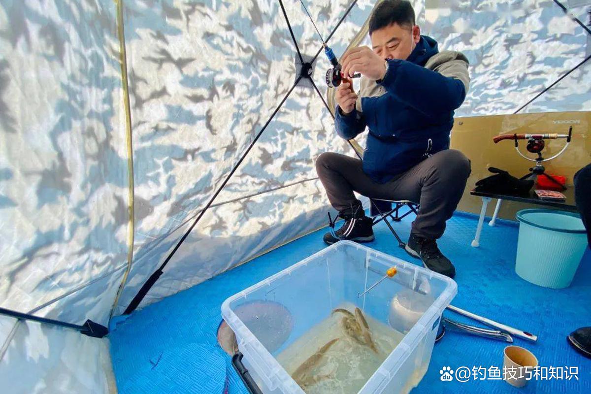 北方冬季冰釣技巧_北方野河冰釣視頻_北方冬季黑坑釣魚玩法