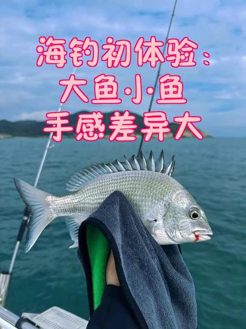 海釣大魚視頻_視頻大魚海釣視頻大全_大海釣大魚視頻900公斤