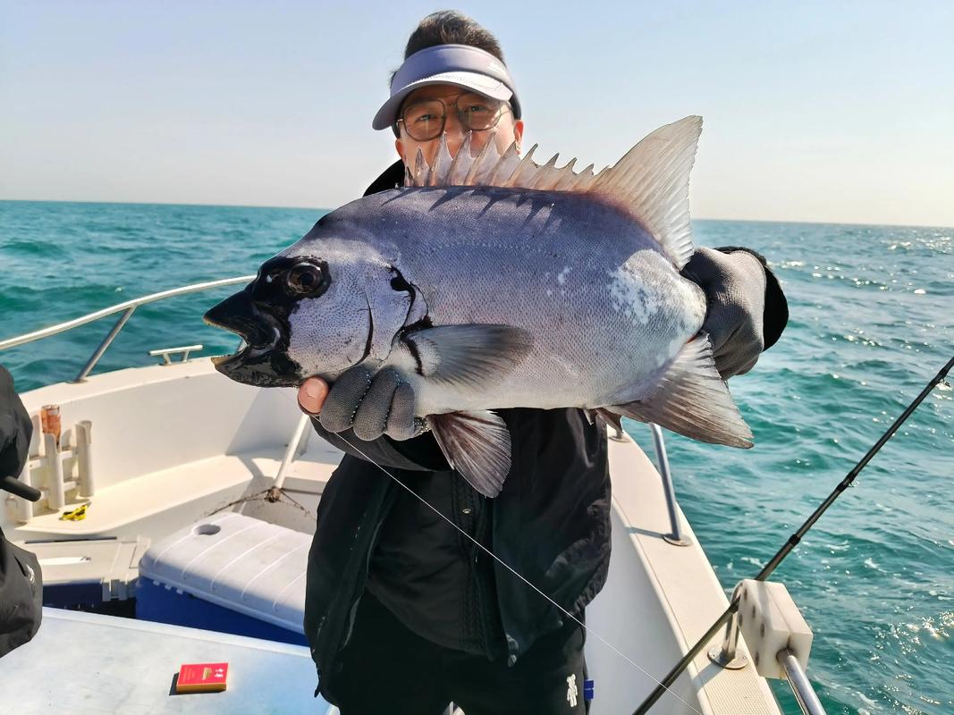 海釣大魚視頻_大海釣大魚視頻900公斤_視頻大魚海釣視頻大全