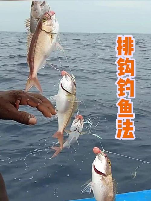 釣馬鮫魚魚餌選擇_海釣技巧之真鯛魚的釣法必看_釣馬鮫魚技巧