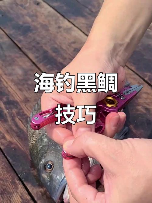 釣馬鮫魚魚餌選擇_海釣技巧之真鯛魚的釣法必看_釣馬鮫魚技巧