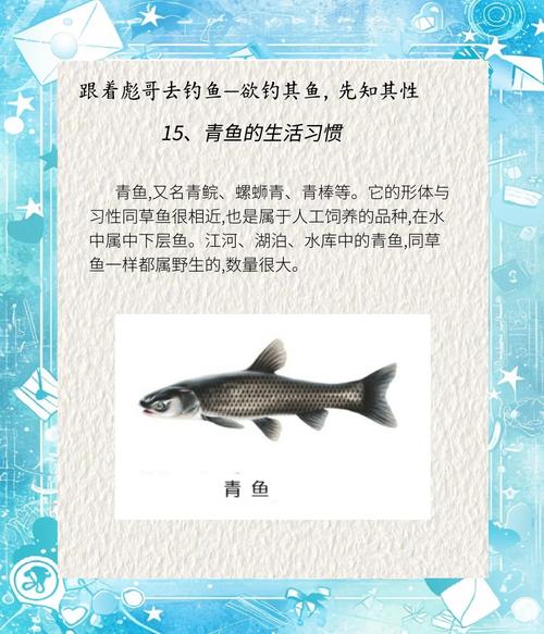 我國四大家魚_青草鰱鳙的由來_四大家魚為什么沒有鯉魚