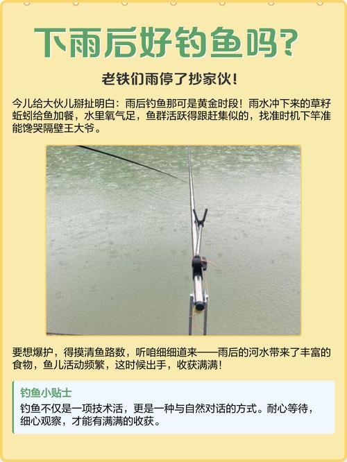 雨后能釣魚不_釣魚雨后可以打窩嗎_雨后可以釣魚嗎