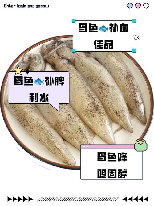 烏魚性味特征_烏魚圖片_曹東義 烏魚功效作用