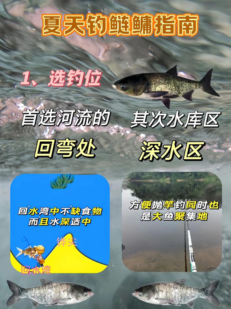 手竿釣鰱鳙時間選擇_鰱鳙怎么釣_夏季手竿釣鰱鳙技巧